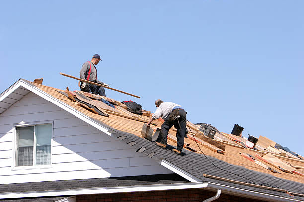 Best Gutter Replacement  in Chilhowie, VA